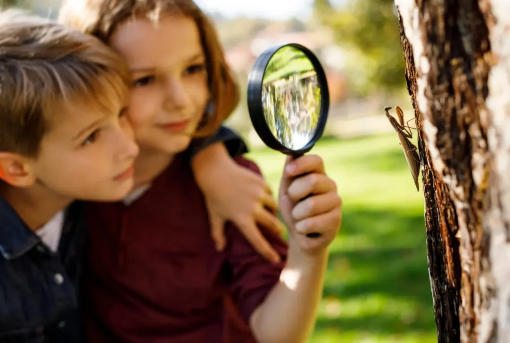 5 Amazing Benefits of Outdoor Learning for Students