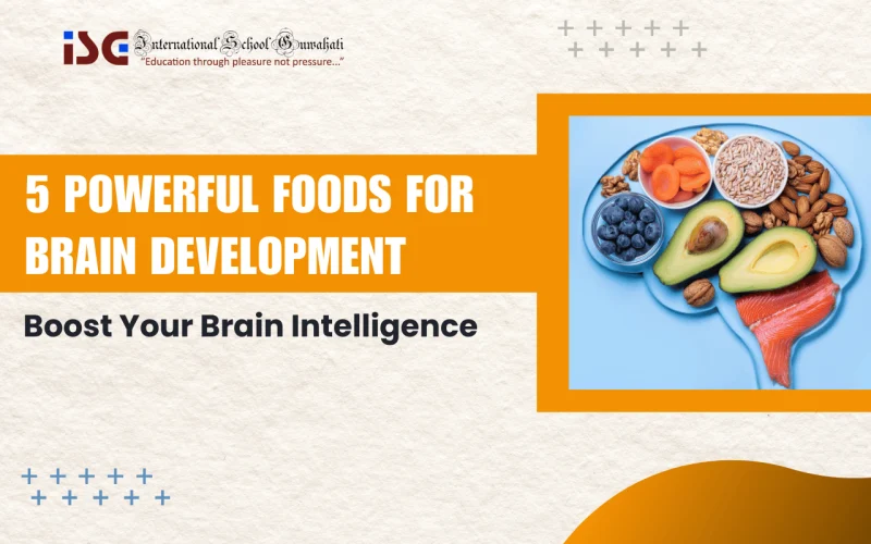 Foods for Brain Development